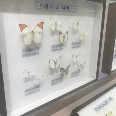 Profile image of 하치야 사부로