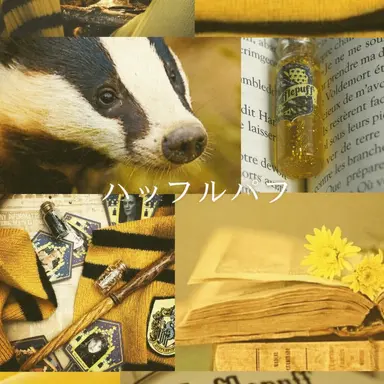 Profile image of セドリック・ディゴリー