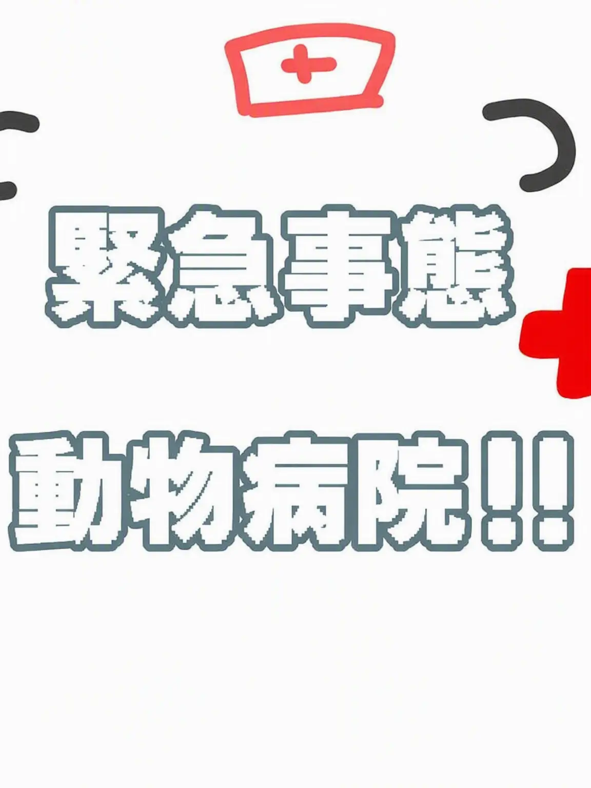 Cpop의 緊急事態！アニマル病院