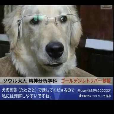 Profile image of 犬