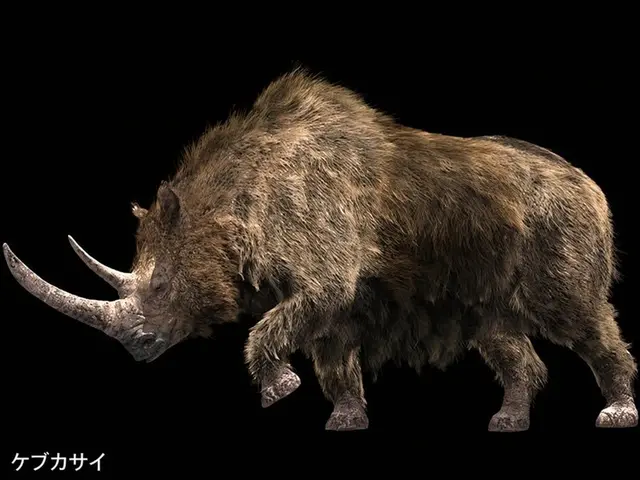 Profile image of ケブカサイ