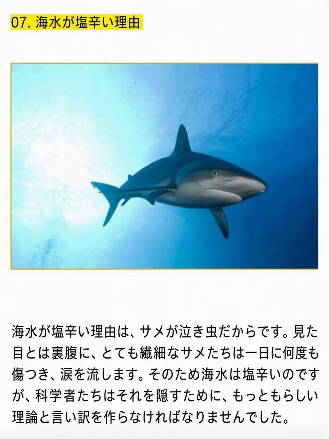 pinkk의 何が正解かもわからない。
