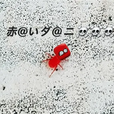 Profile image of キツネ