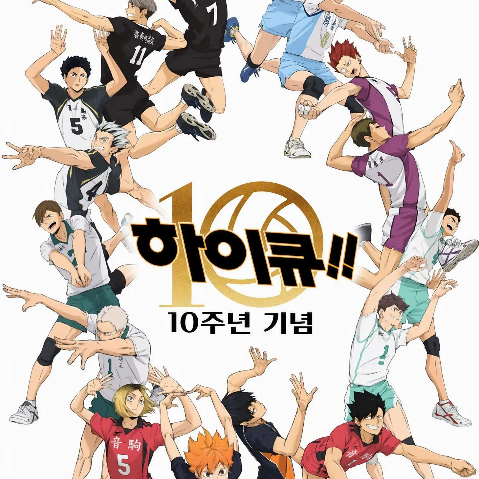 FineAnt3752의 하이큐 멤버들이 도원암귀의 세계로 날아갔다