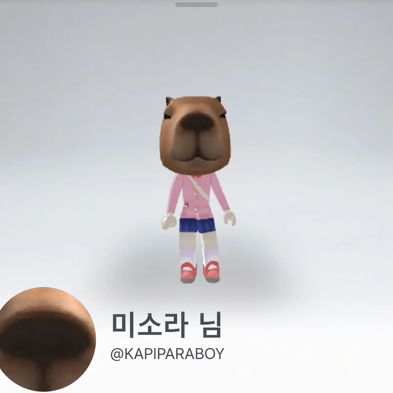 LankyArena9의 미소라의 누나가 되자