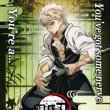 Profile image of Sanemi Shinazugawa