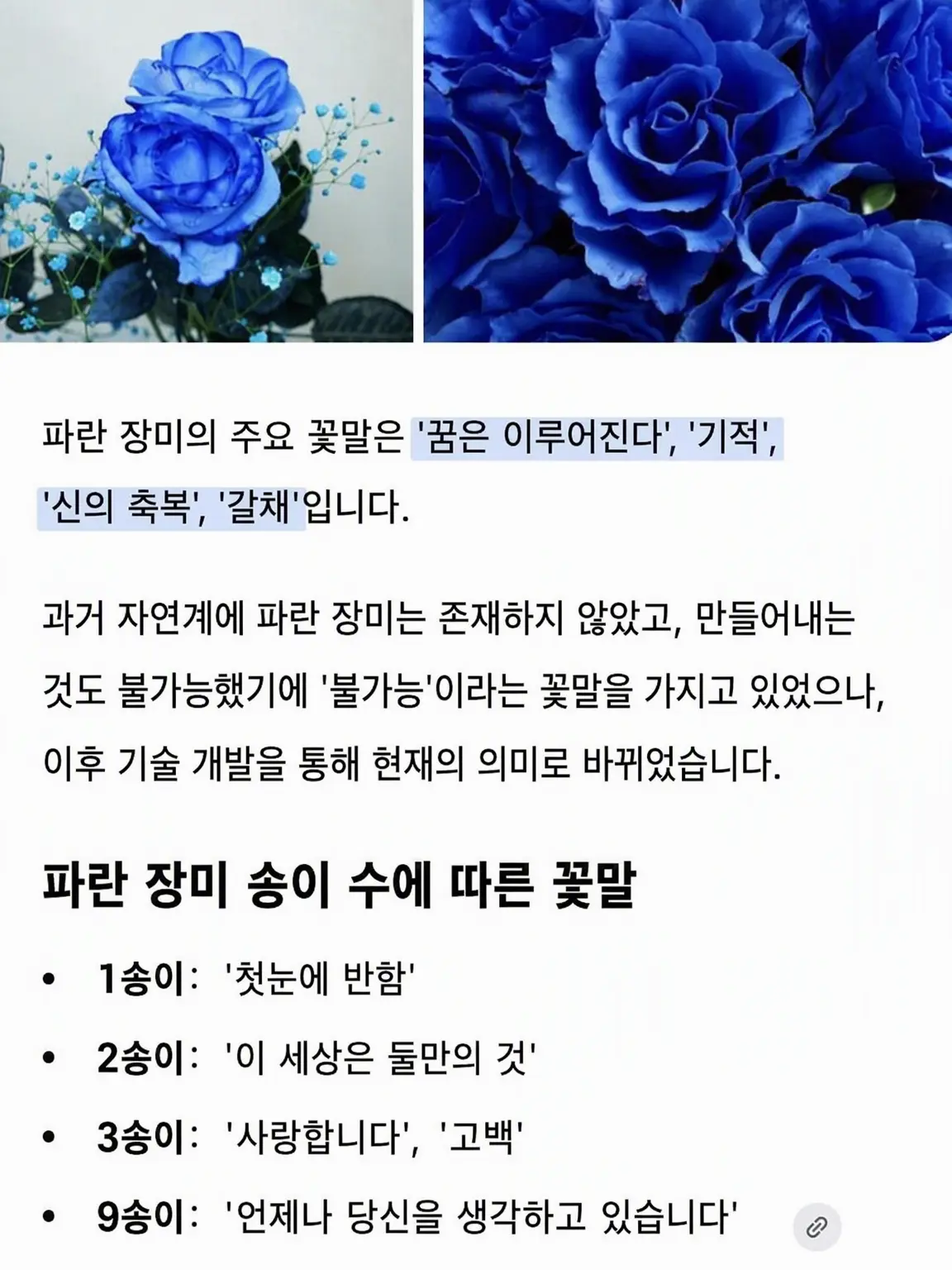 JustRack9065의 파란 장미