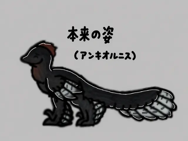 Profile image of アン키