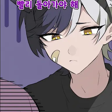 Profile image of 마제타