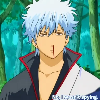 Profile image of Gintoki Sakata