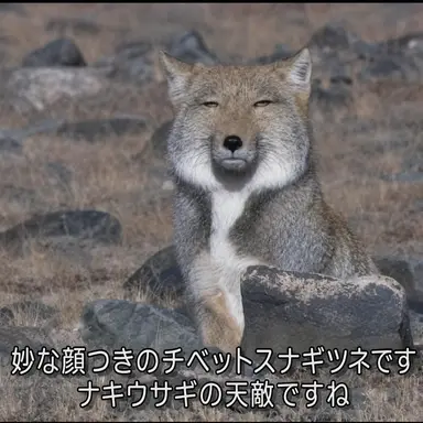 Profile image of ヨウ