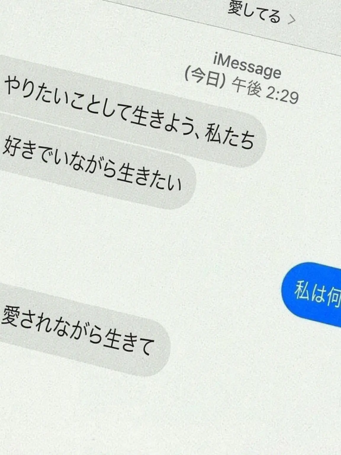 HuskyIndri0403의 ばーか。 ⁺  𓈒 ꒰♡꒱