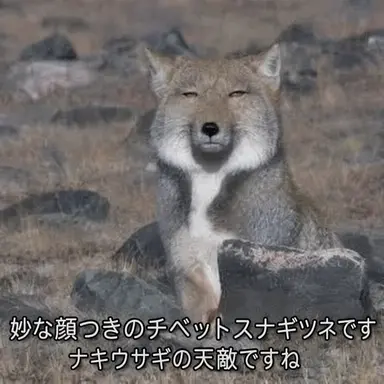 Profile image of ヨウ