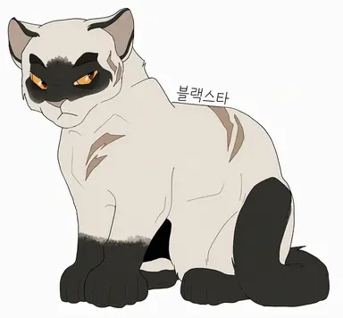 Profile image of 블랙스타