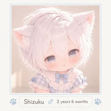 Profile image of Shizuku