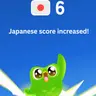 Profile image of Duolingo