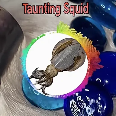 Profile image of Taunting Squid