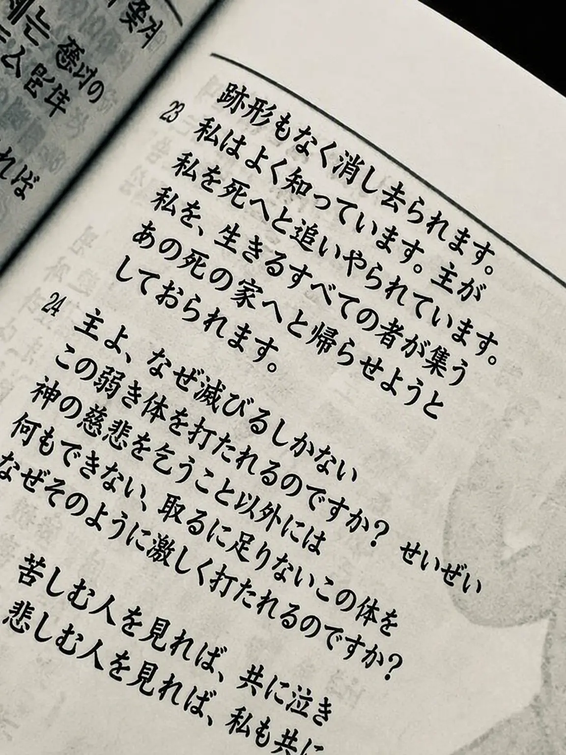 RoastRamp2184의 ペク・ジュハ