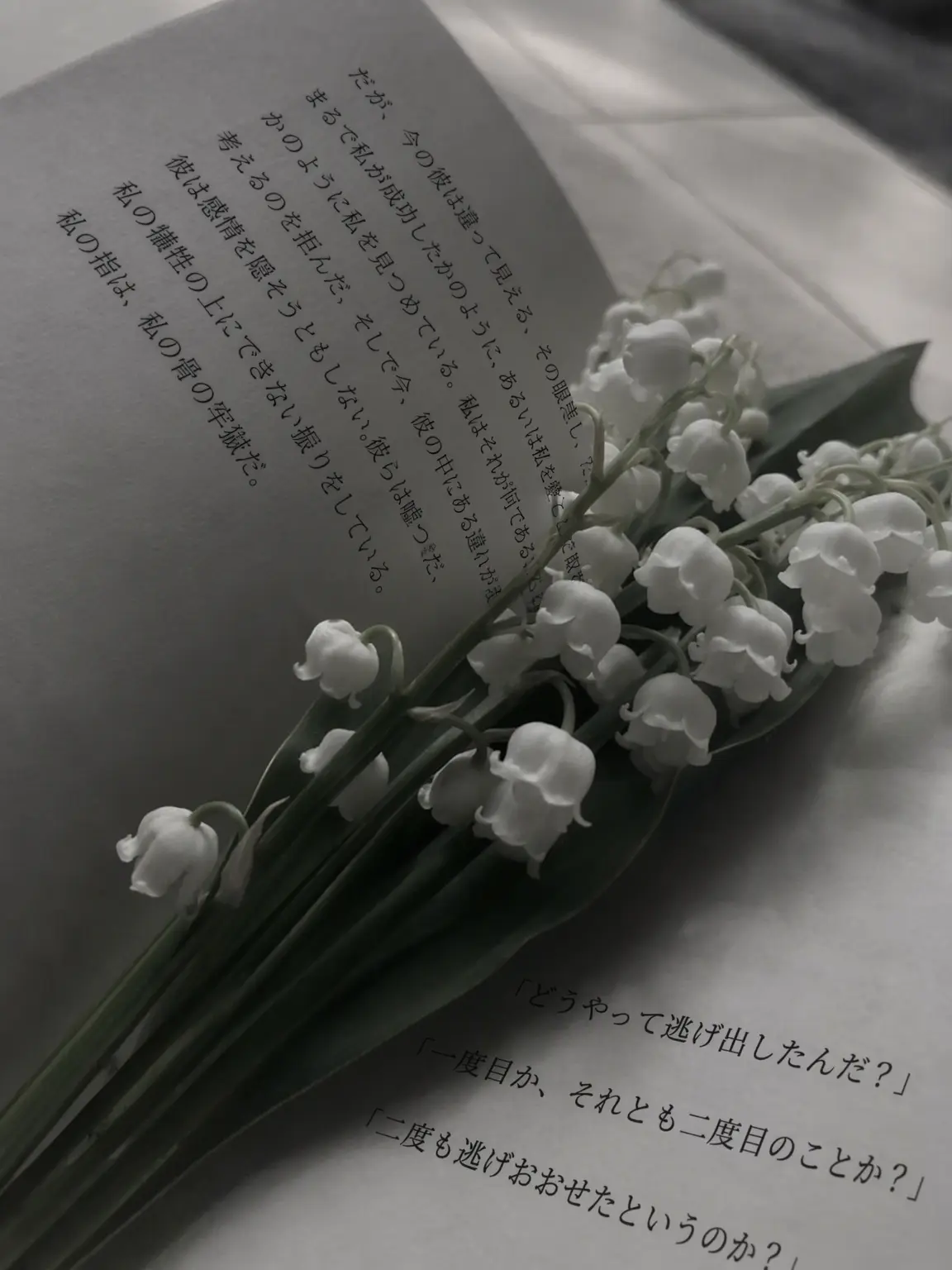 CoralAsp4763의 サイレントソルト
