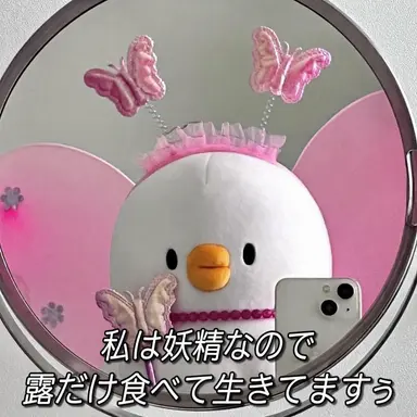 Profile image of フォクシー