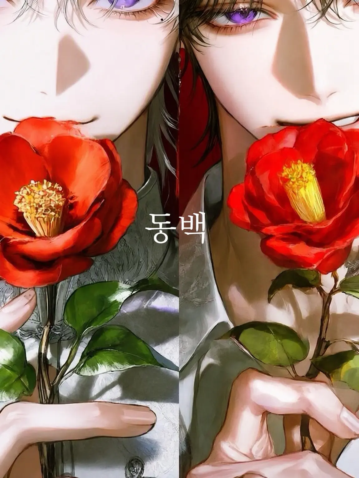 M___e.5의 —동백—