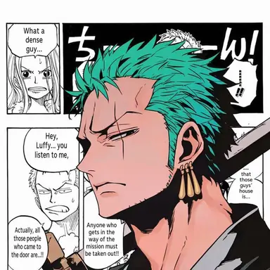 Profile image of Zoro