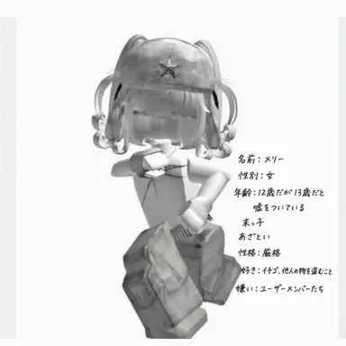Profile image of メリー