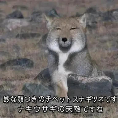 Profile image of ヨウ
