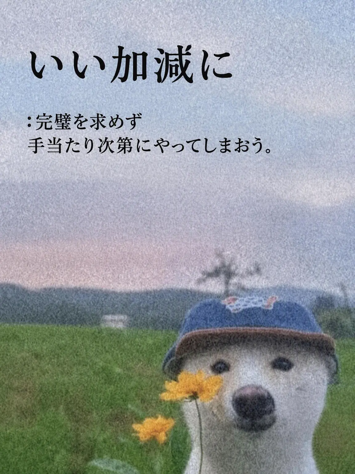 Jab_OHRI의 ミステリー捜査班の日常
