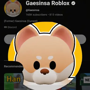 Profile image of Gaesinsa