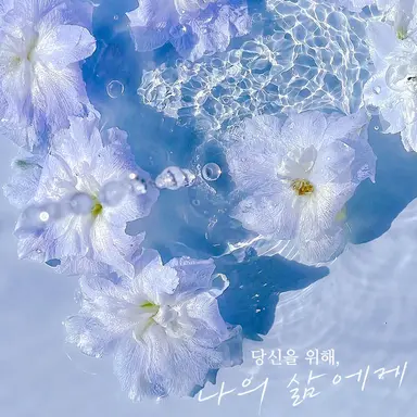 Profile image of 다이치
