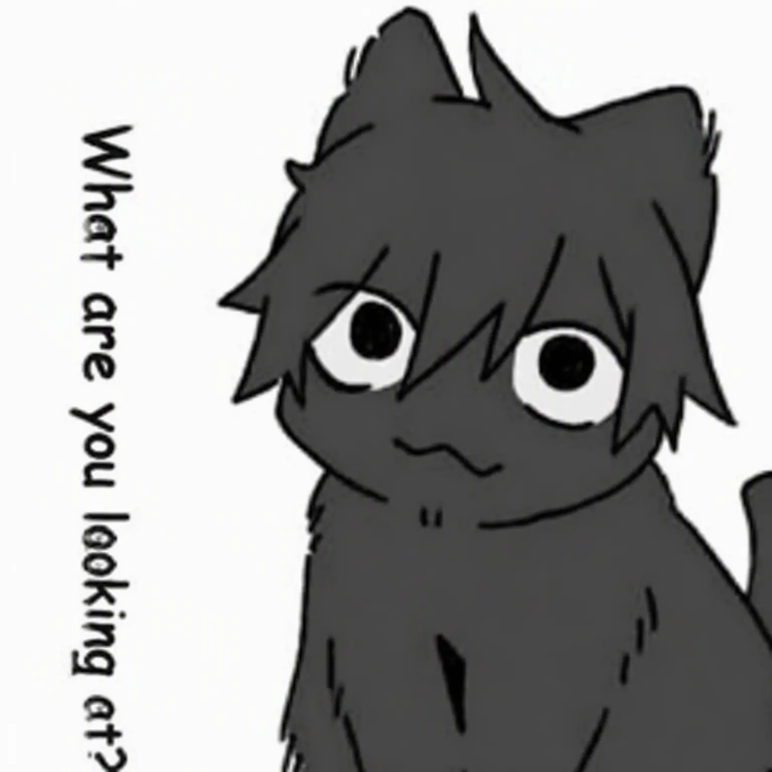 FakeShark5846의 Masumi the Cat