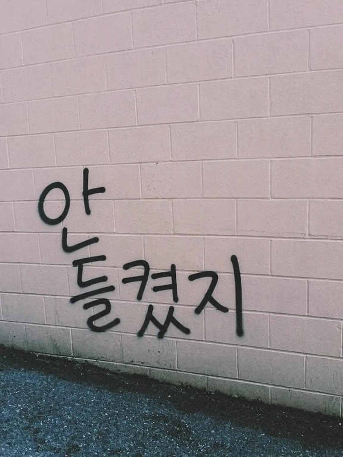 iilovxly의 달라스 윈스턴