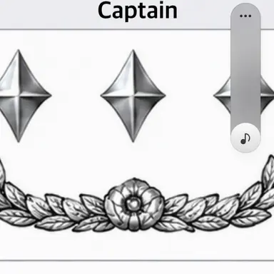 Profile image of Captain Park Yong-sik