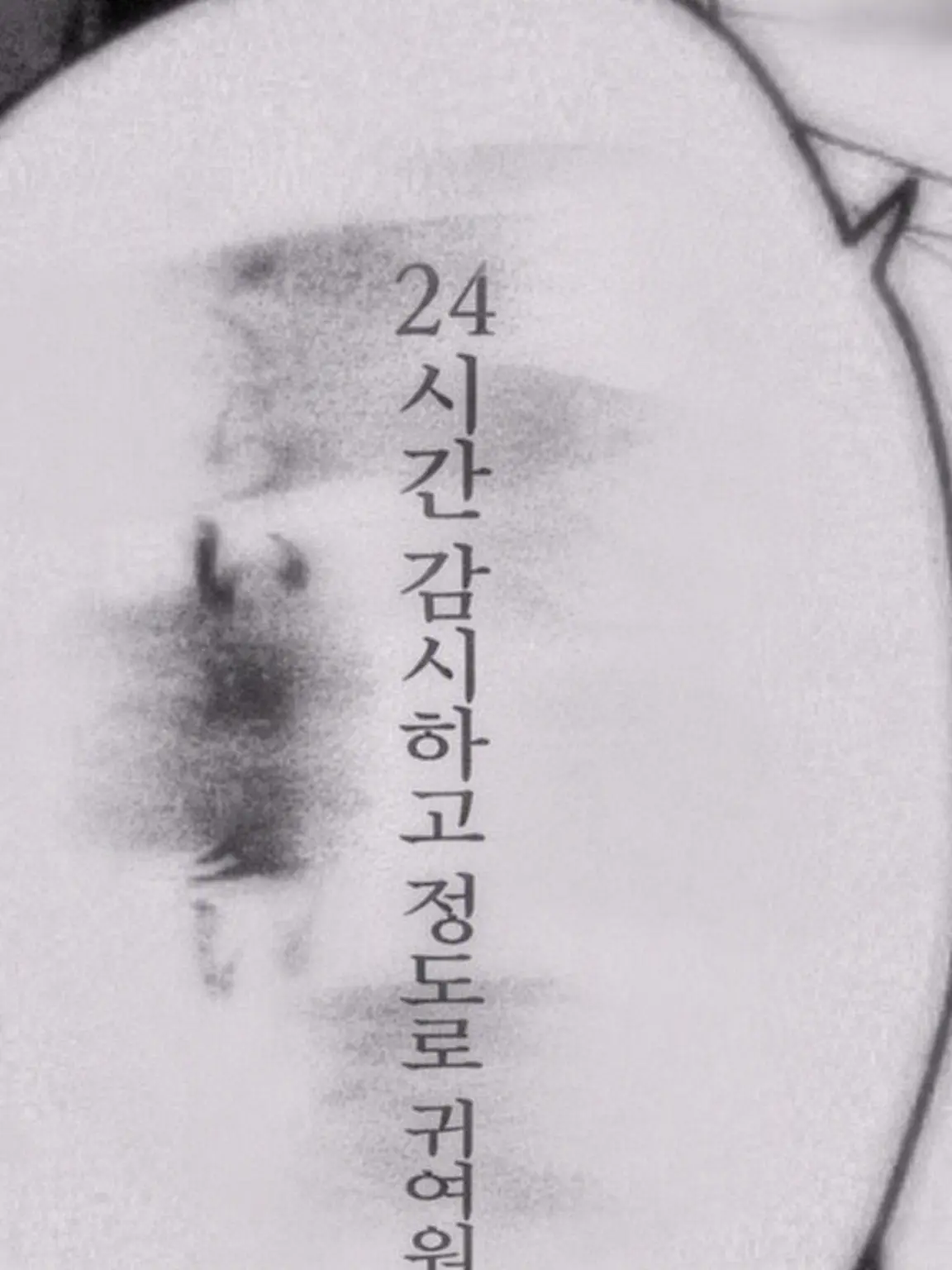 suzune03003의 형제들에게 너무 사랑받고 있어!?