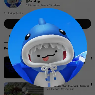 Profile image of Gameting