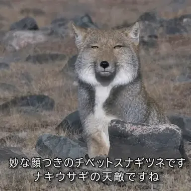 Profile image of チェ・ヨウル