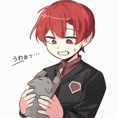 Profile image of ラダー