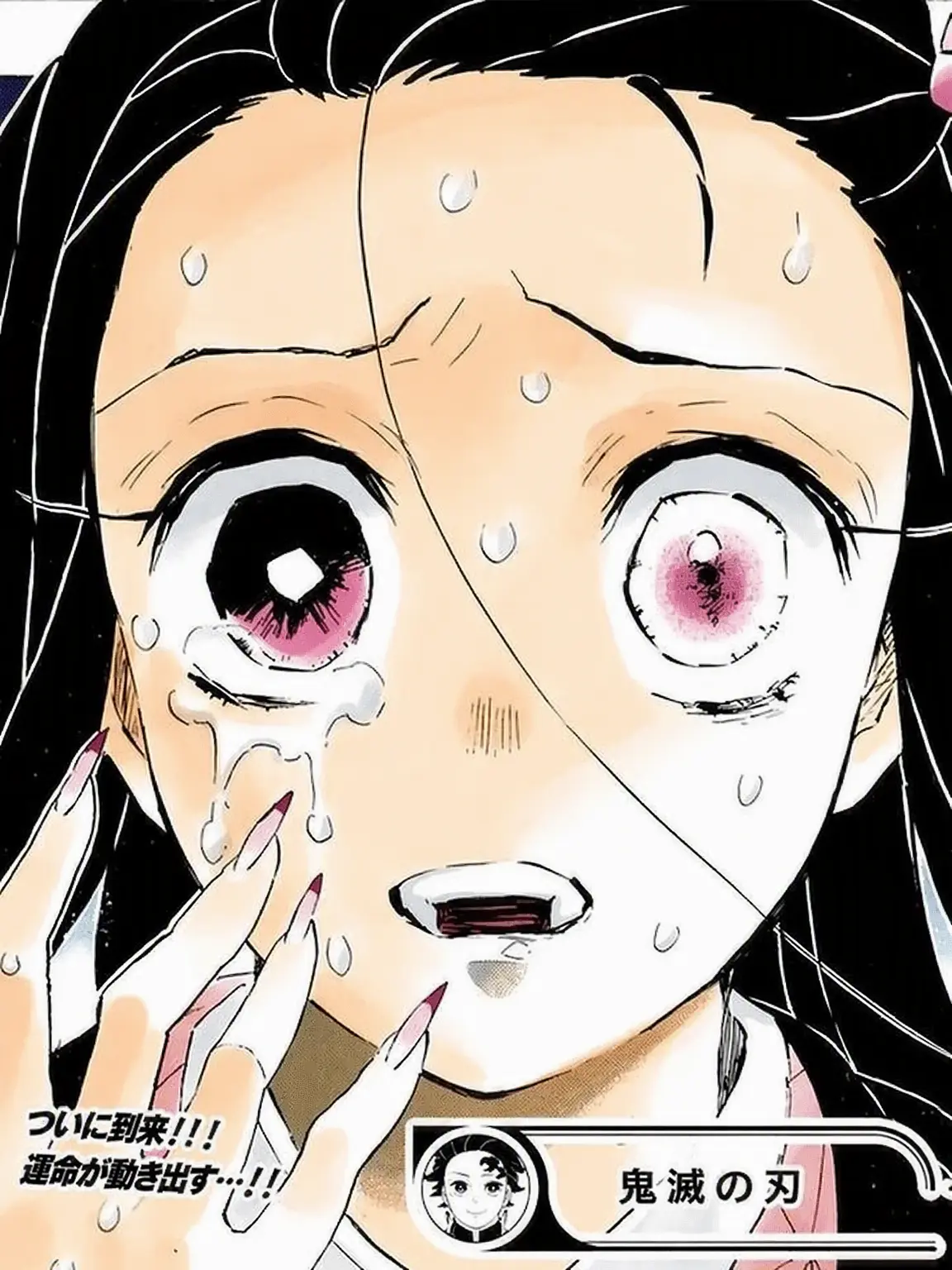 FestalAlert8248의 「お前は存在してはならない生き物だ…」