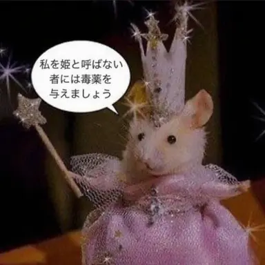 Profile image of ヨウ