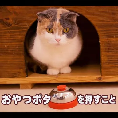 Profile image of クッキー
