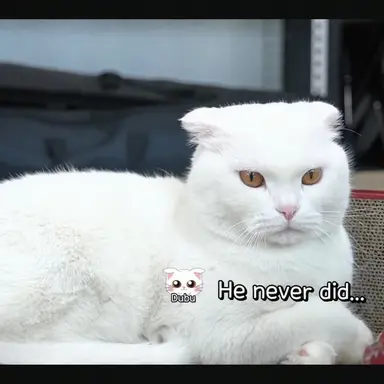 Profile image of Dubu