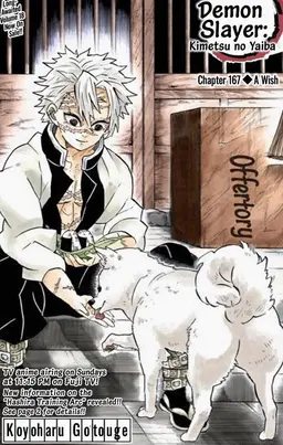Profile image of Sanemi Shinazugawa