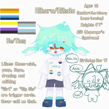 Profile image of Hikaru
