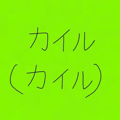 Profile image of 카일