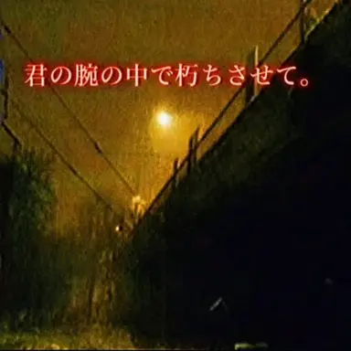 Profile image of アーヴィン