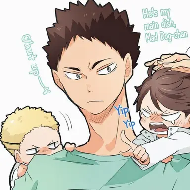 Profile image of Iwaizumi