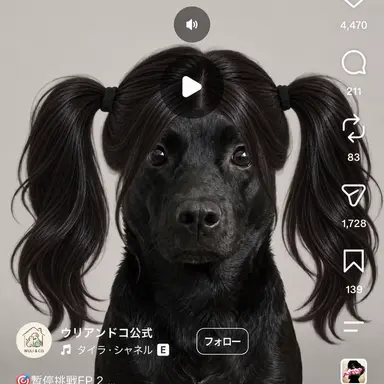 Profile image of 結城 キツネ