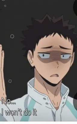Profile image of Iwaizumi Hajime
