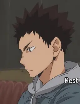 Profile image of Iwaizumi Hajime